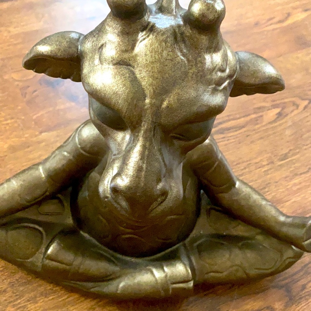 Rare Zen Meditating Giraffe